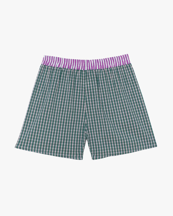 All Day Pedro Boxer