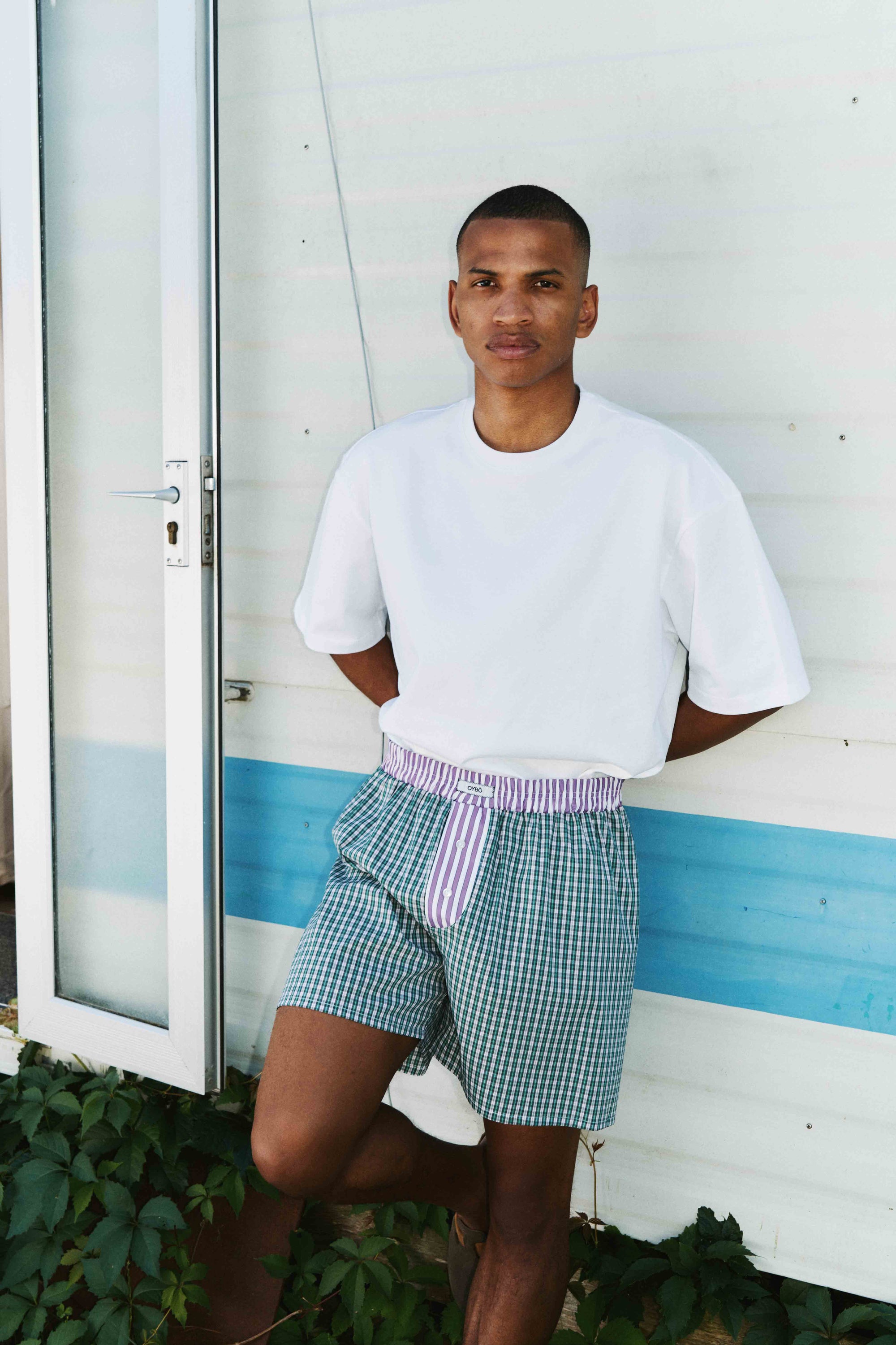 All Day Pedro Boxer