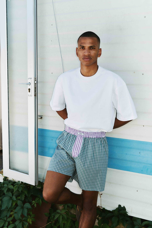 All Day Pedro Boxer